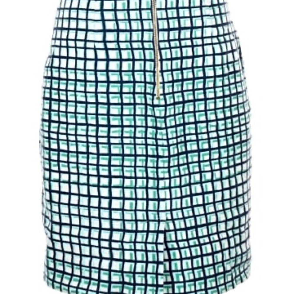 EUC KATE SPADE Stylish Green and White Checkered Mid Length Skirt, Fully Lined - Picture 16 of 16
